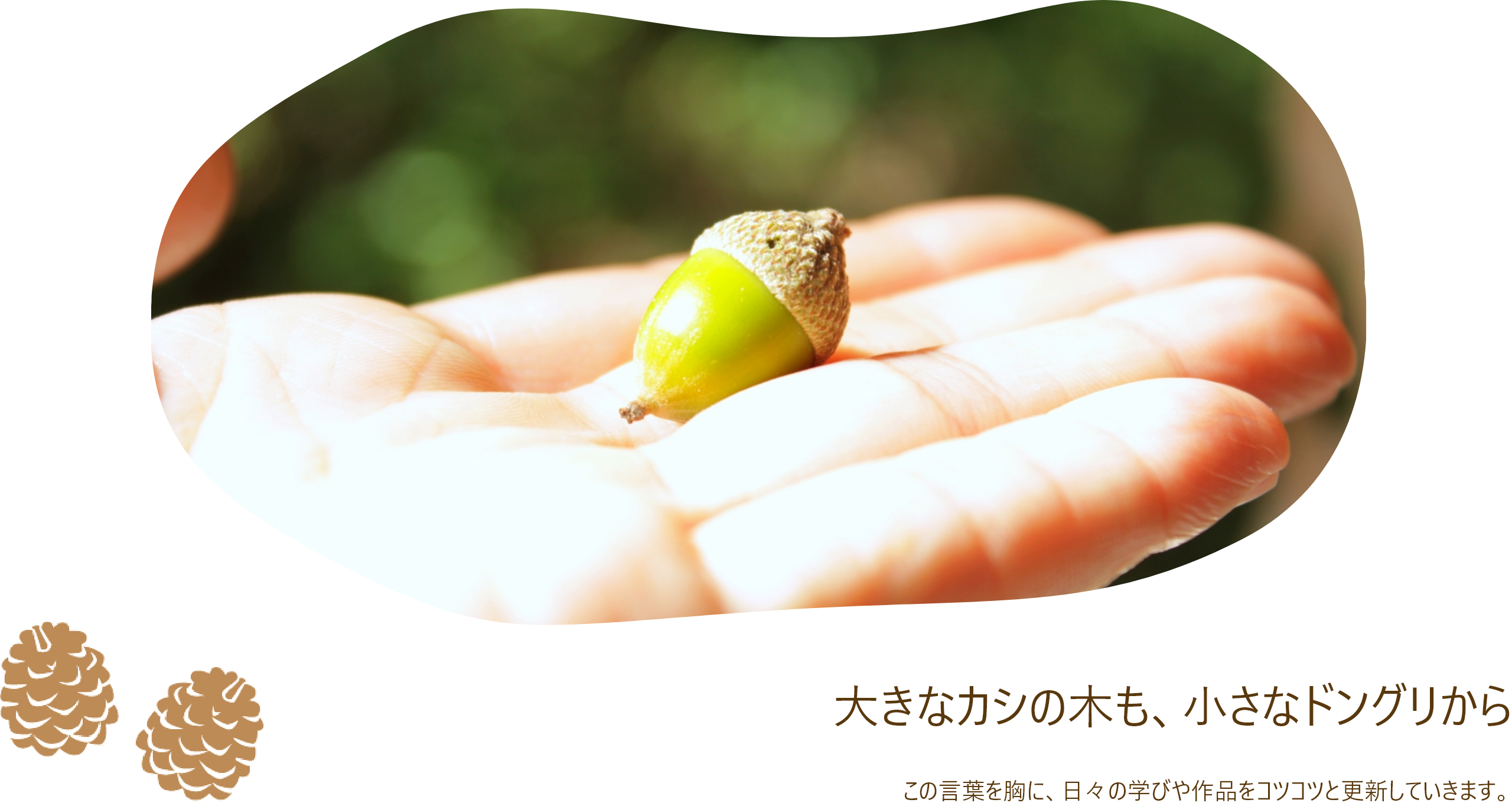 大きなカシの木も小さなドングリから。この言葉を胸に日々の学びや作品を更新していきます。