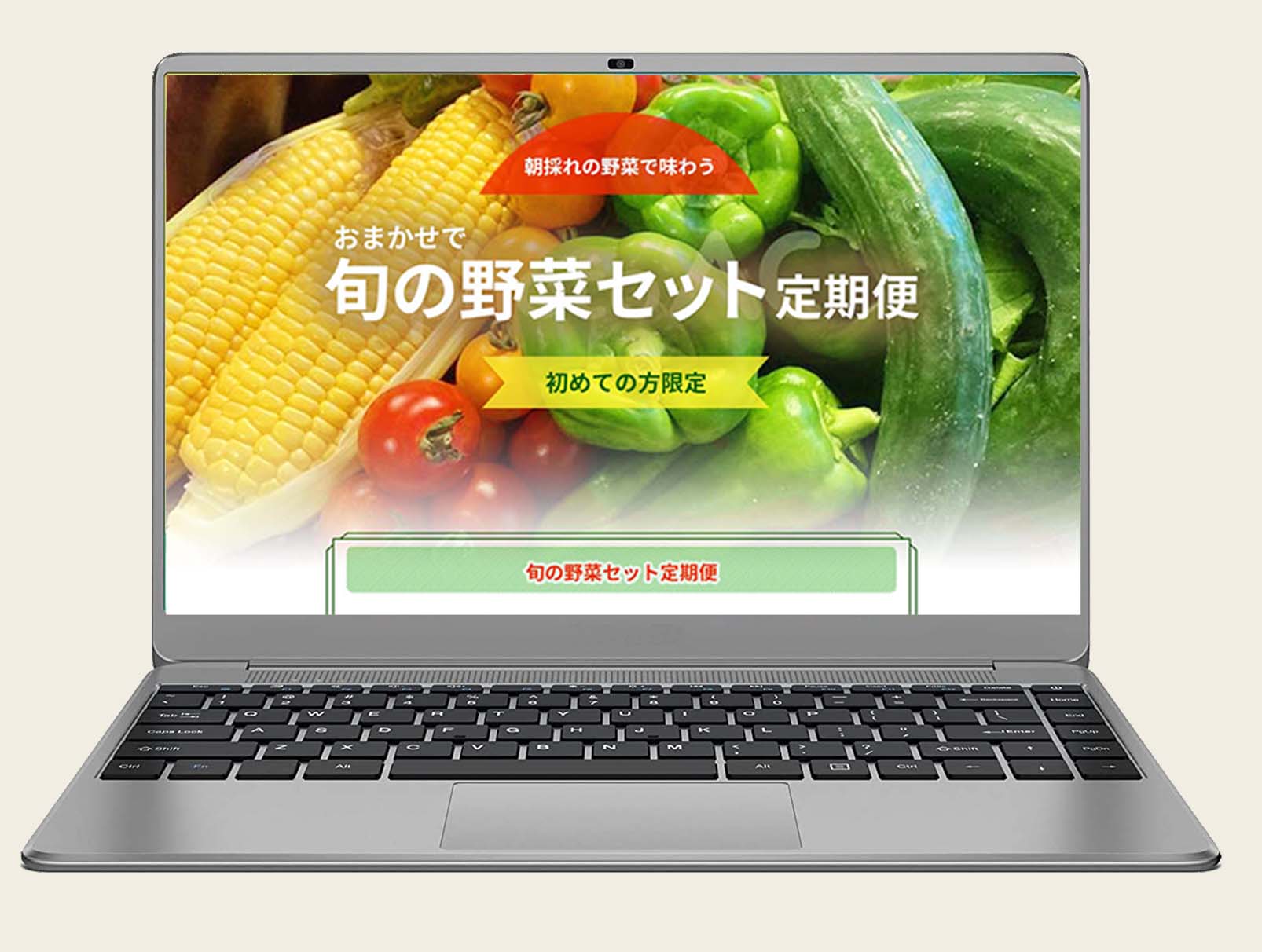 「旬の野菜セット定期便」LPデザイン